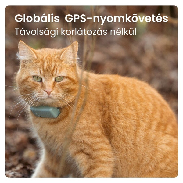 Tractive GPS CAT Mini menta macska GPS nyomkövető és tevékenységfigyelő