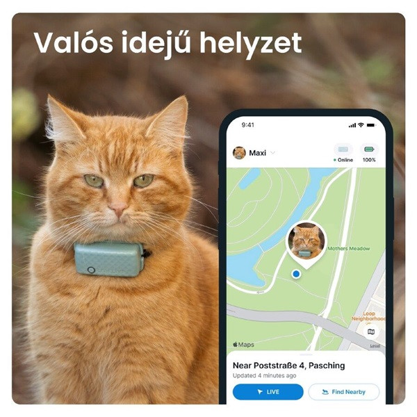 Tractive GPS CAT Mini menta macska GPS nyomkövető és tevékenységfigyelő