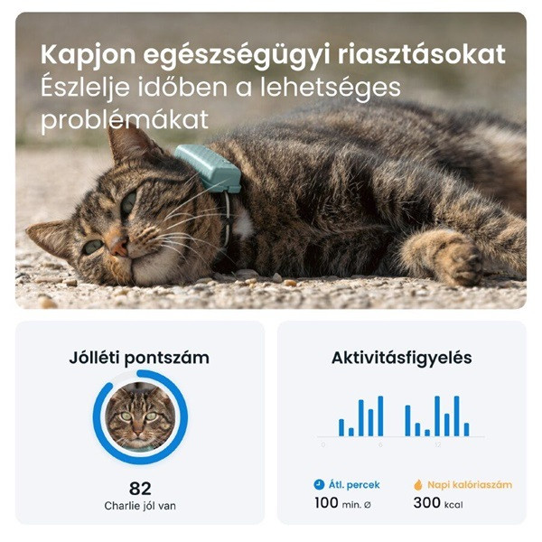 Tractive GPS CAT Mini menta macska GPS nyomkövető és tevékenységfigyelő